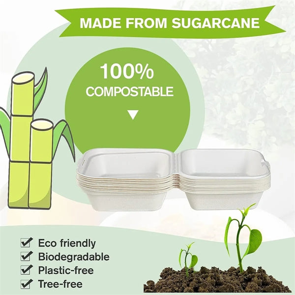 6" Biodegradable Burger Packaging Box