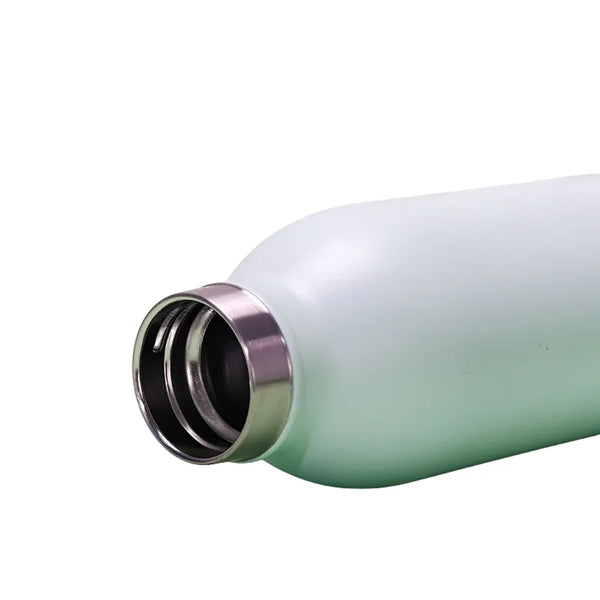 12/16/20 oz Stainless Steel Water Bottle with Screw On Lid