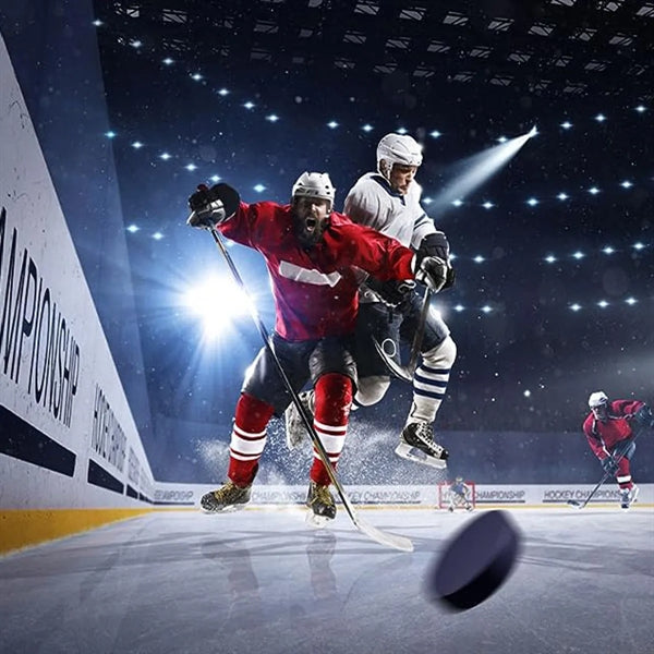 Professional Rubber Ice Hockey