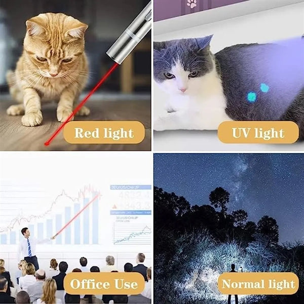 Kitten Dog Laser Pen Toy