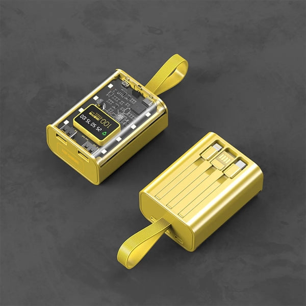 Transparent Punk Power Bank