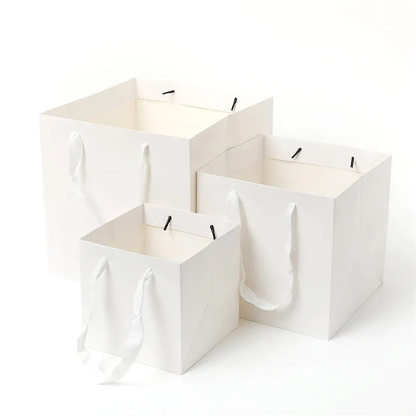 Paper Packaging Gift Bag