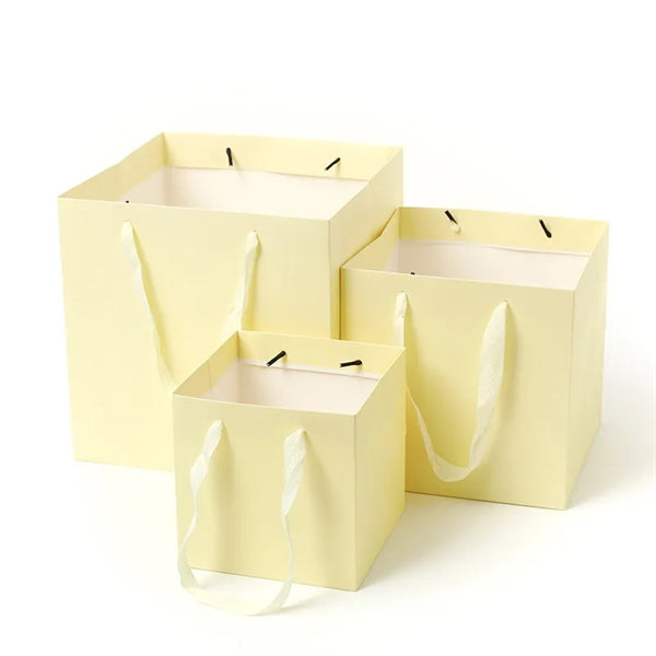 Paper Packaging Gift Bag