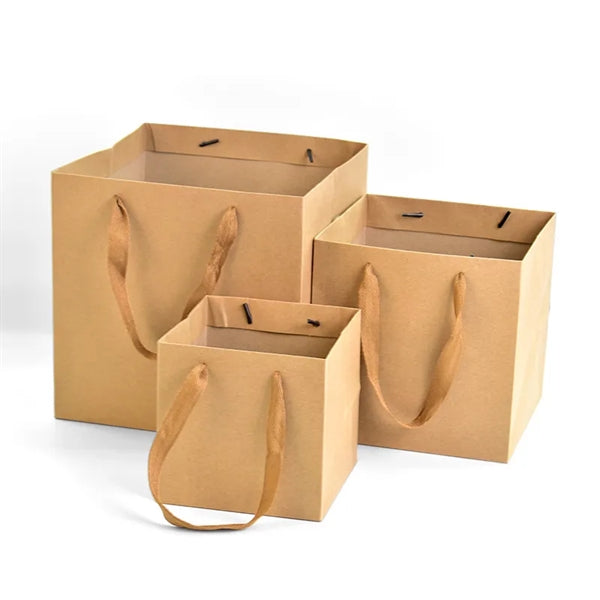 Paper Packaging Gift Bag