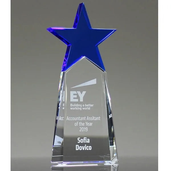 Top Star Crystal Award Trophy