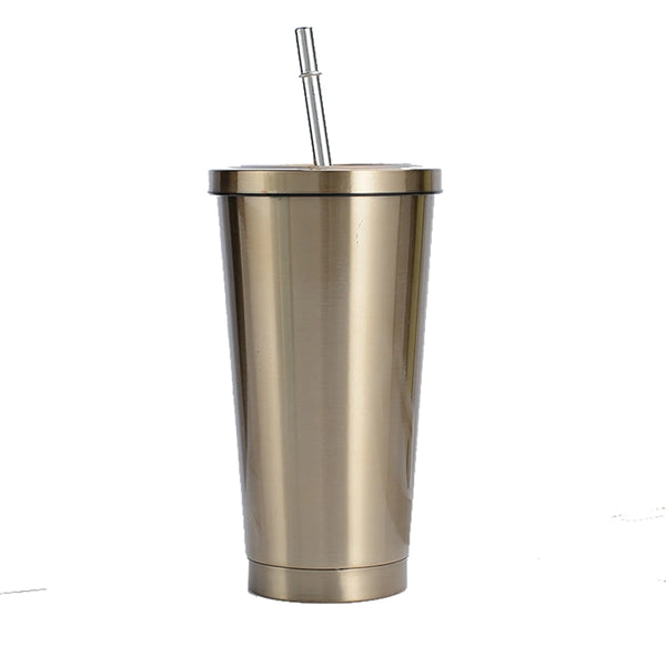 Insulated Stainless Steel Water Cup With Straw