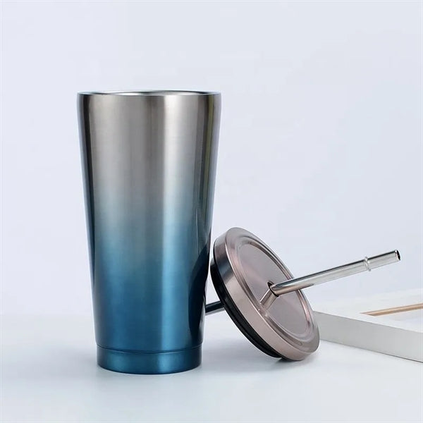 Insulated Stainless Steel Water Cup With Straw