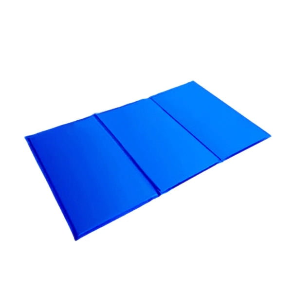 Pet Ice Pad