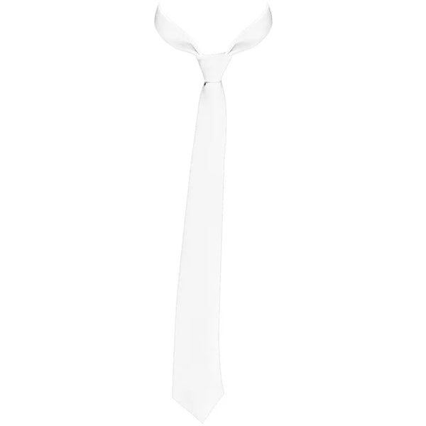Full-Color Dress Tie