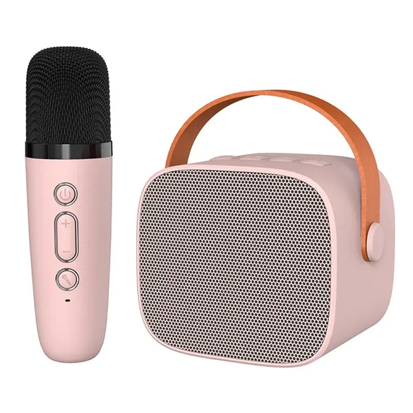 Wireless Speaker with Microphone