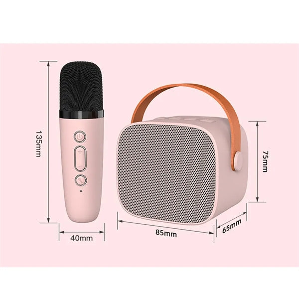 Wireless Speaker with Microphone