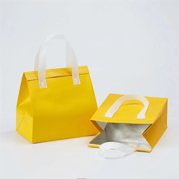 Insulated Takeout Food Bag