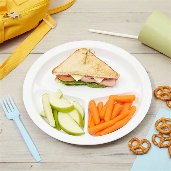 10" Melamine Picnic Divided Plate