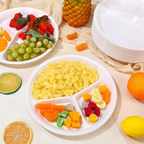 10" Melamine Picnic Divided Plate