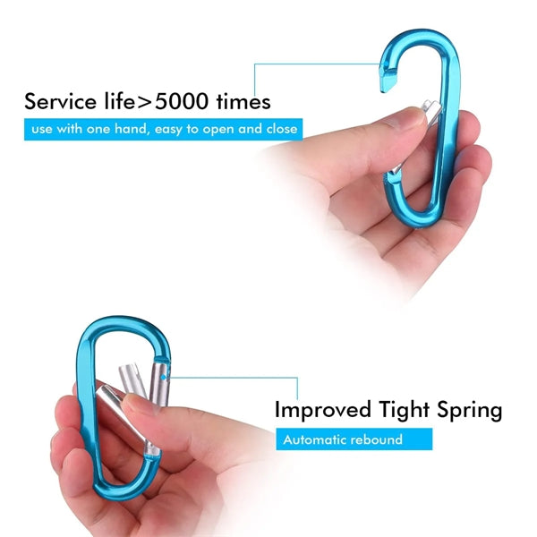 Carabiner Keychain