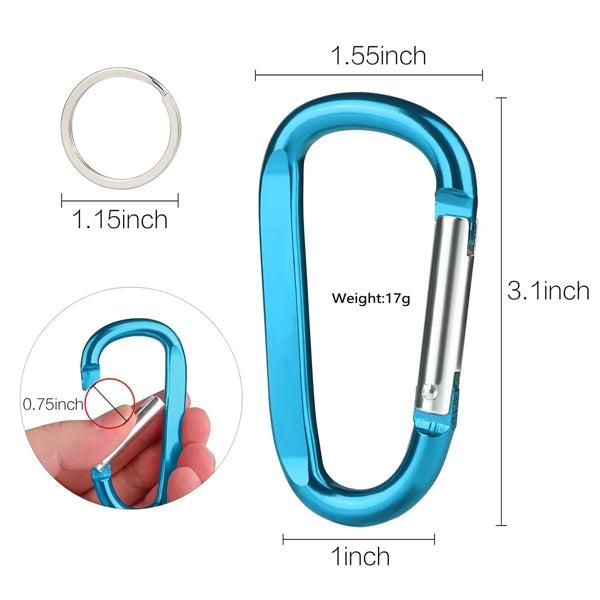 Carabiner Keychain
