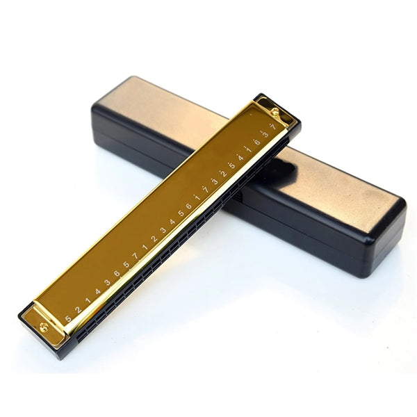 Blues Harmonica 24 Holes C Key with Case
