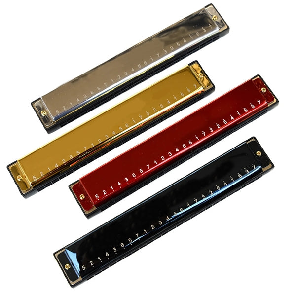 Blues Harmonica 24 Holes C Key with Case