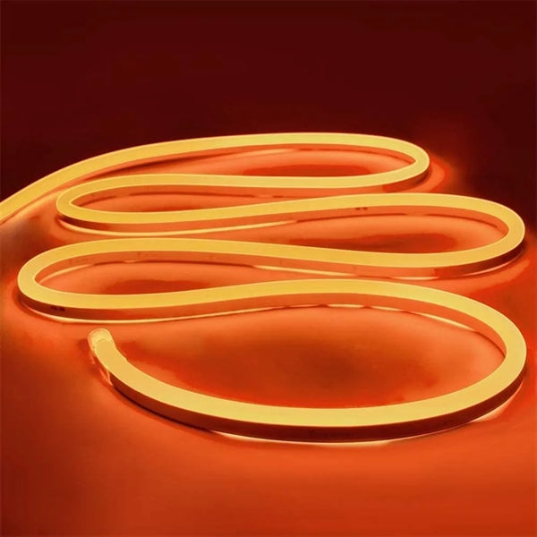 12V Silicone Outdoor Neon