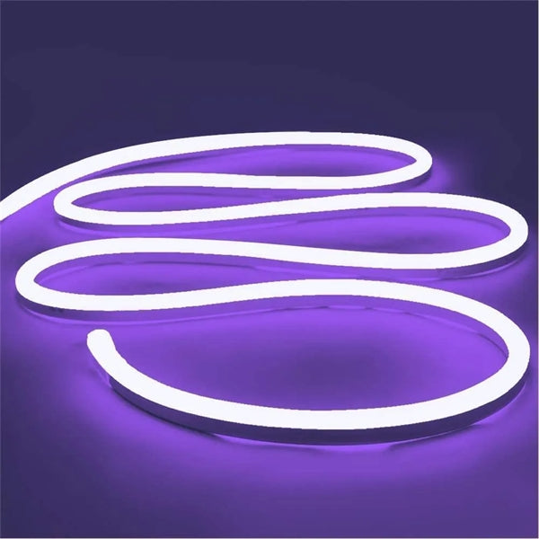 12V Silicone Outdoor Neon