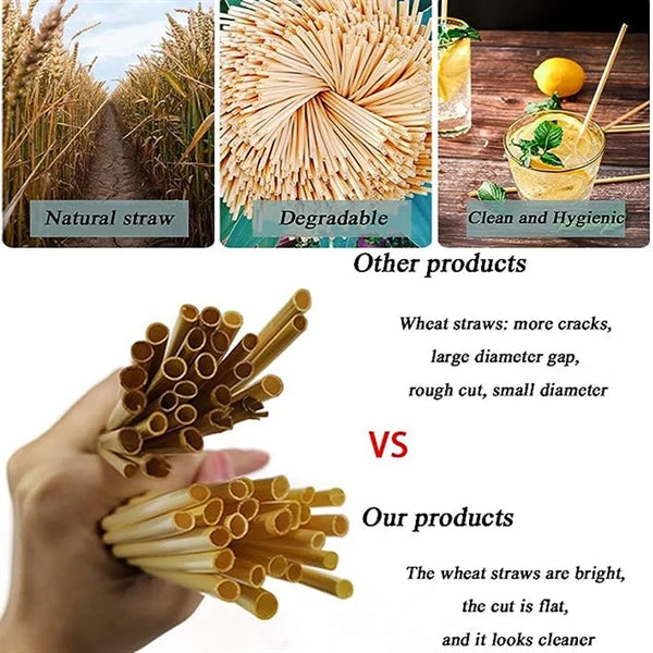 Pack of 100 Natural Wheat Drinking Straws