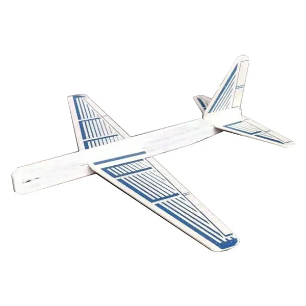 Exhibition Type Wing Wooden flyer