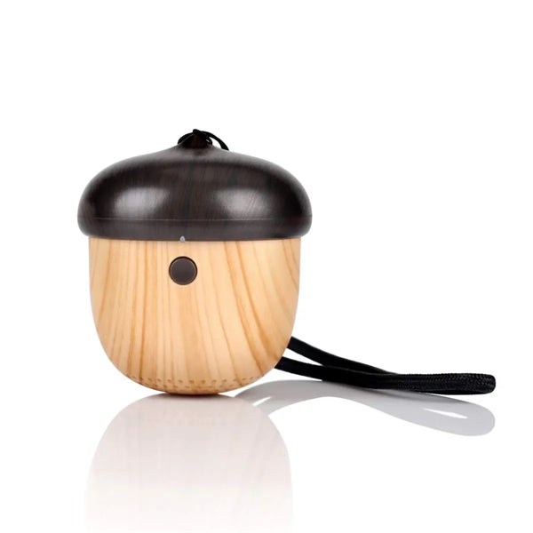 Mini Bluetooth Speaker