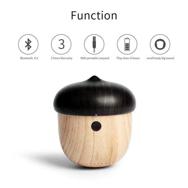 Mini Bluetooth Speaker