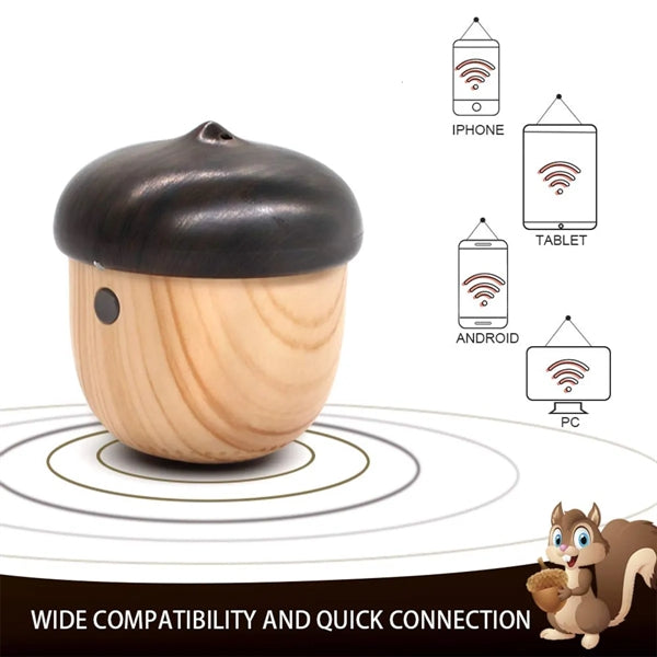 Mini Bluetooth Speaker