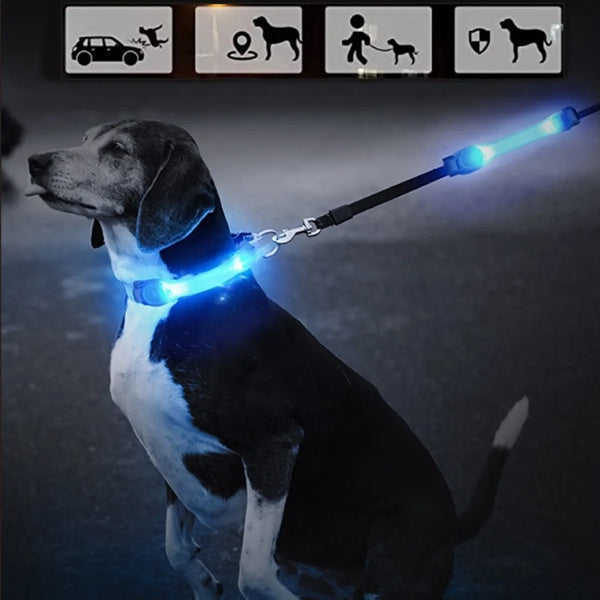 LED Leg Arm Bands for Running and Pet