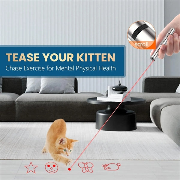 USB Rechargeable Laser Pointer for Cat