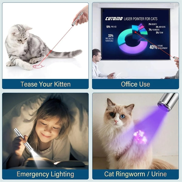 USB Rechargeable Laser Pointer for Cat