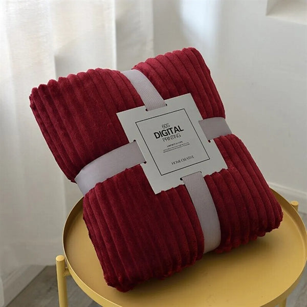 Winter Warm Blankets