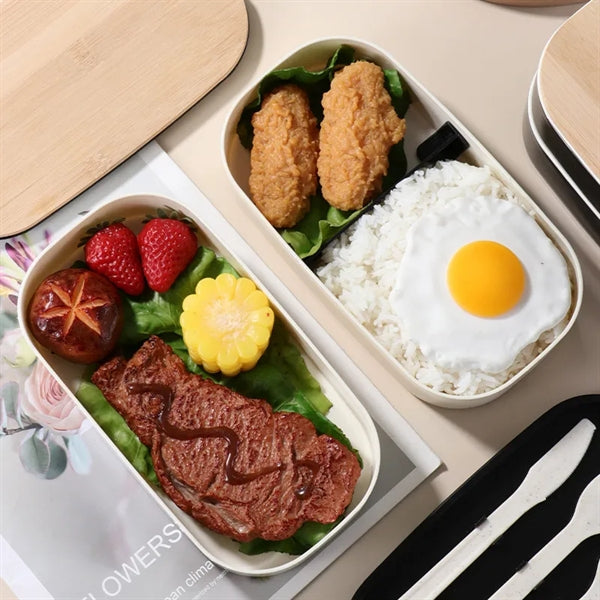 Lightweight Leak Proof 2-Tier Bento Box Lunch Container