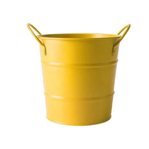 Small Metal Bucket