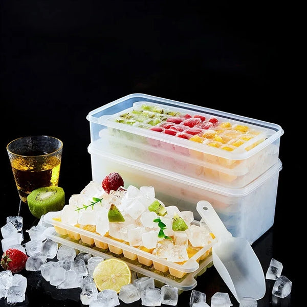 Ice Tray Mold