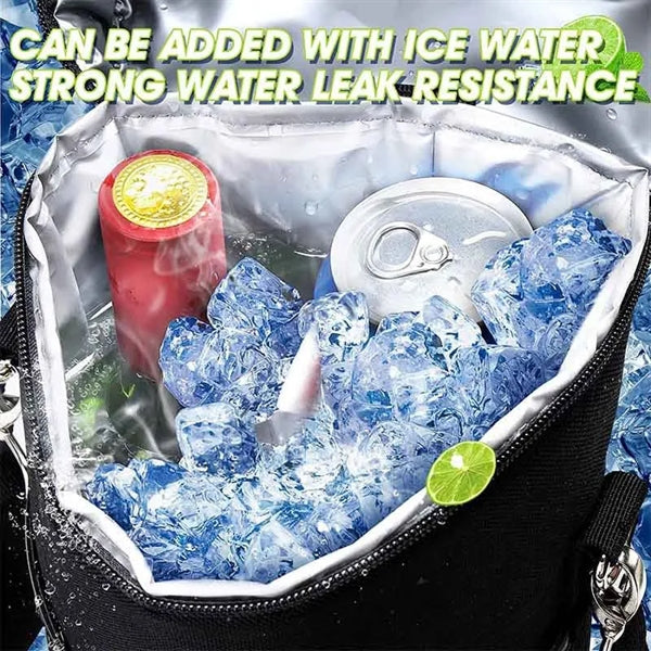 Portable Wine Cooler Bag