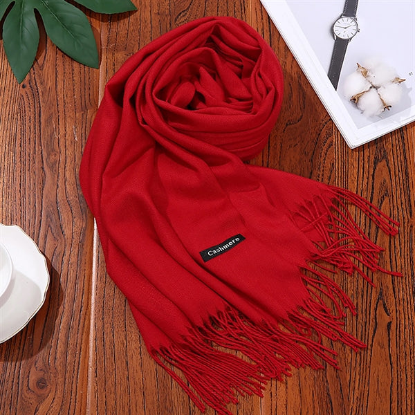 Warm Pashmina Shawl for Women