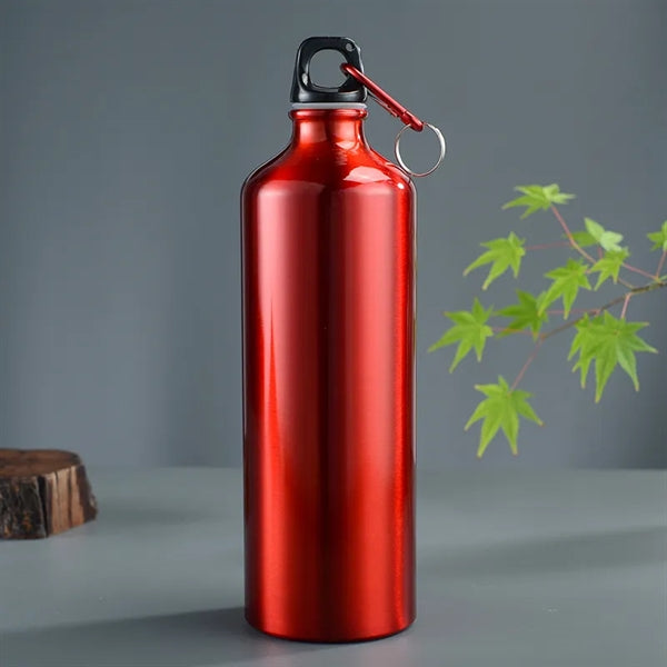 25oz Aluminum Sports Water Bottle with Twist Cap and Hook
