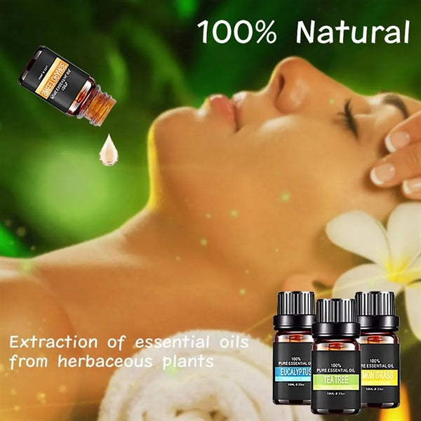6Pcs Fragrance Essential Oils Gift Set