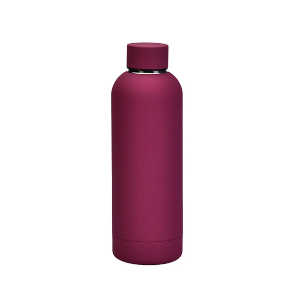 Stainless Steel Double Wall Insulated Vacuum Bottle With Cap