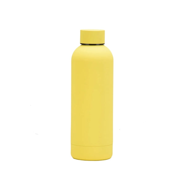 Stainless Steel Double Wall Insulated Vacuum Bottle With Cap