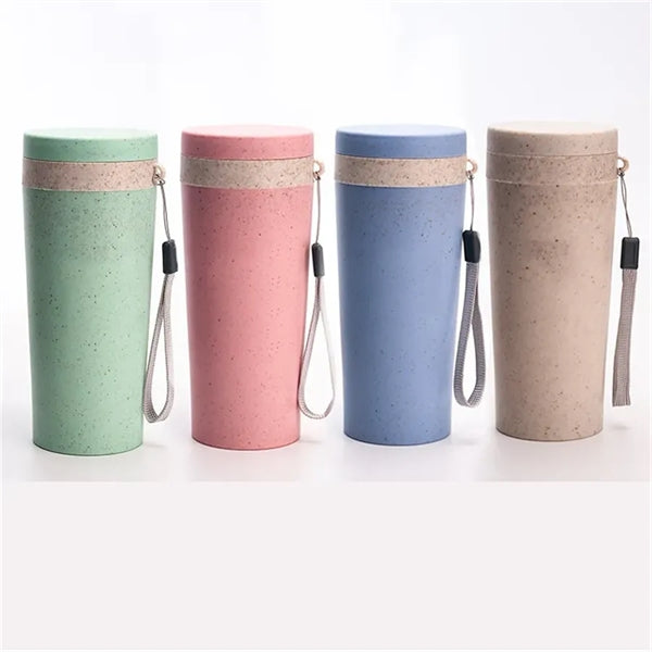 Insulated Bottle