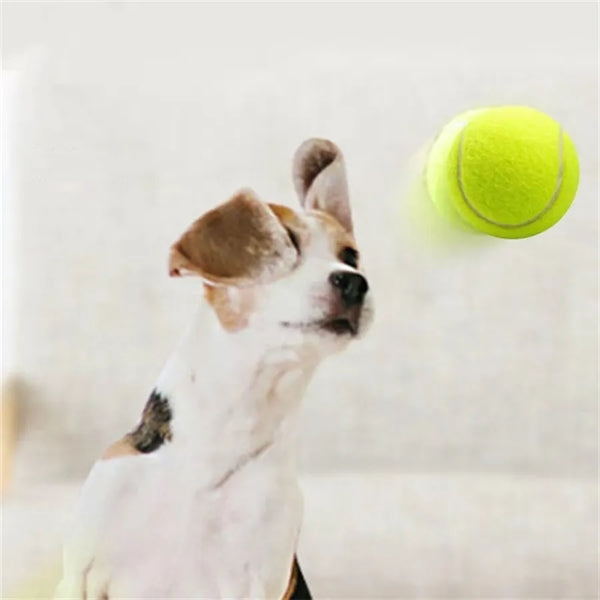 Tennis Balls