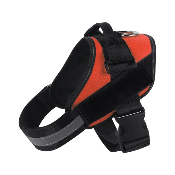 Dog Harness