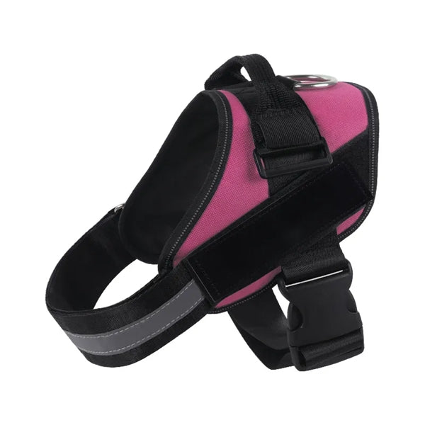 Dog Harness