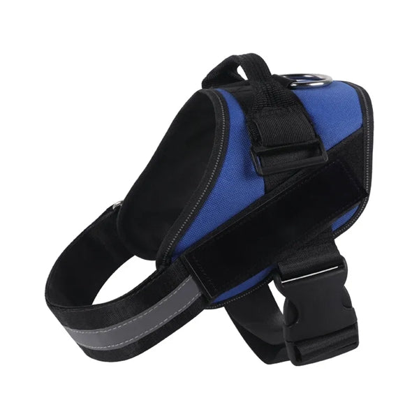 Dog Harness
