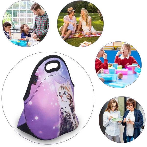 Insulated Waterproof School Picnic Carrying Lunch box