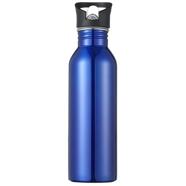 25OZ Insulated Straw Water Bottles