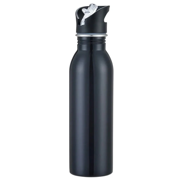 25OZ Insulated Straw Water Bottles